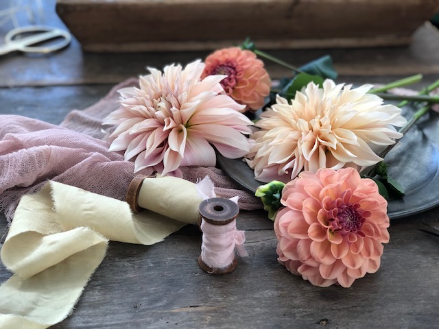 Learning to dye with dahlias